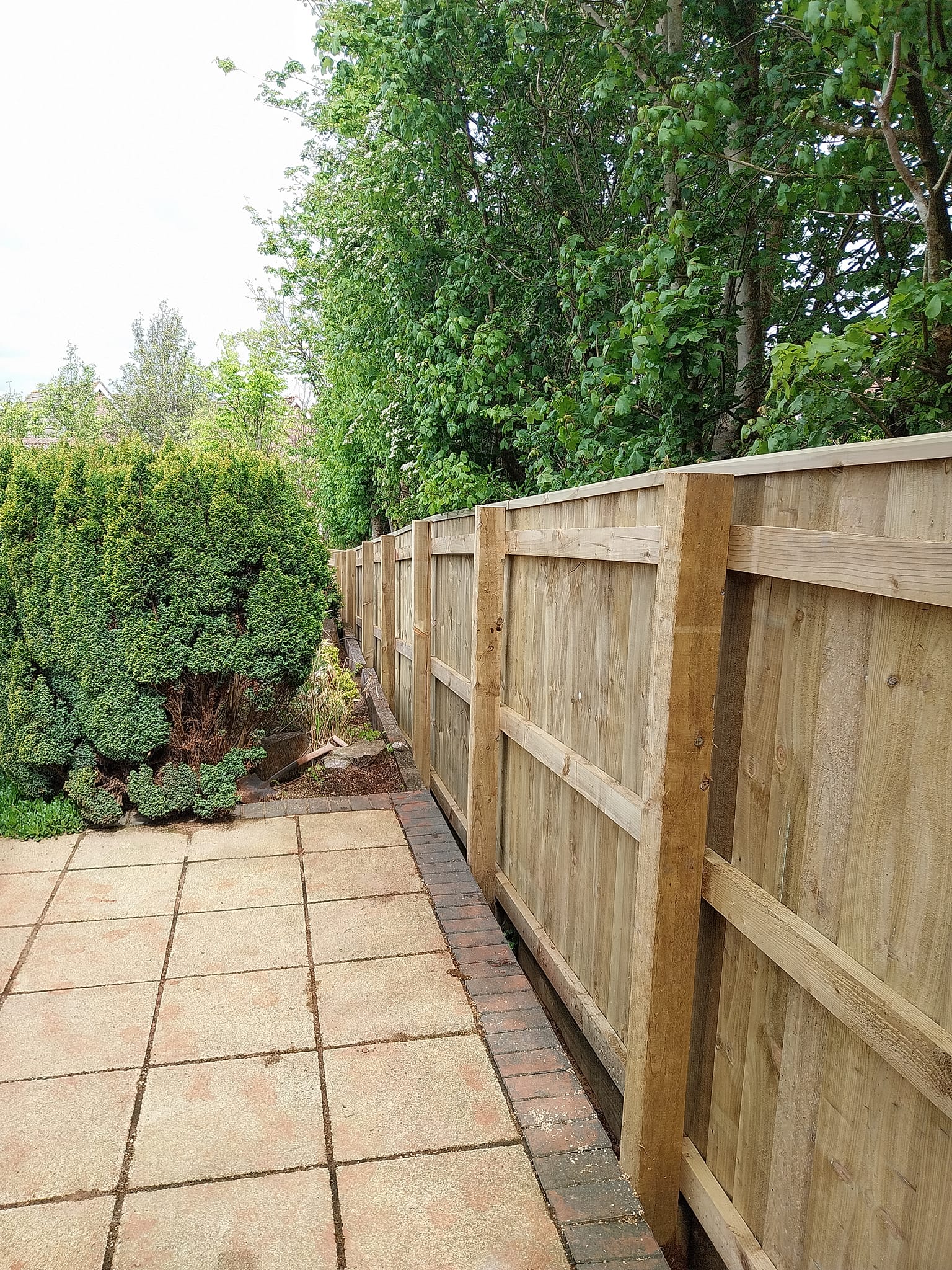 Wooden fence along a garden path with trees and shrubs on the left. The path is flanked by square stone tiles bordered by a brick line on the right.