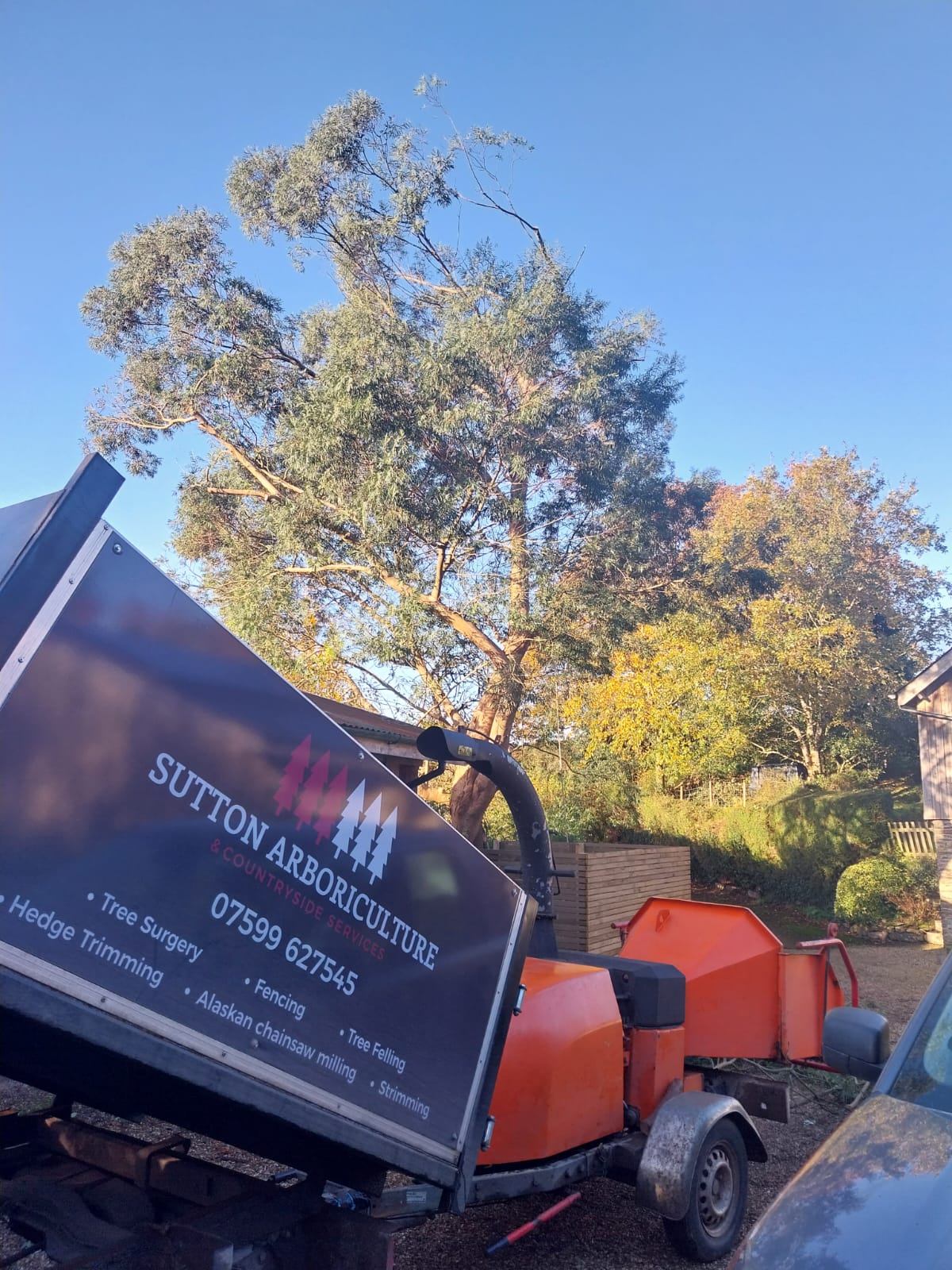 A wood chipper labeled "Sutton Arboriculture" is parked in a garden with a large tree in the background. The equipment is orange and black. The sunny day casts shadows, while autumnal trees and a small shed are visible nearby.