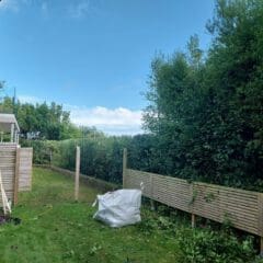 A backyard scene with a partially cloudy sky. There is a white tarp on the grass, surrounded by scattered tools and trimmed plants. A wooden fence separates the yard from a dense hedge of green trees and bushes. A house's roof is visible on the left.