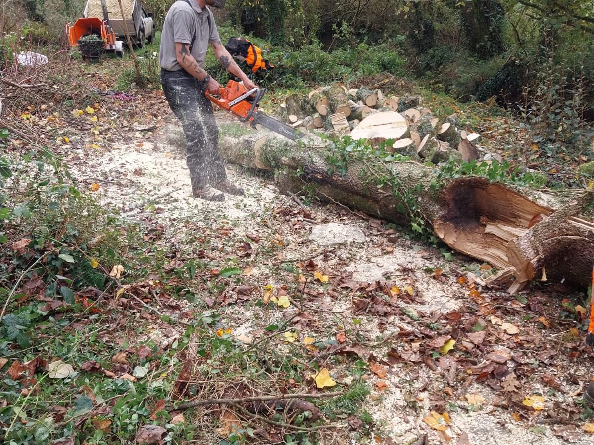 A person wearing protective gear uses a chainsaw to cut through a fallen tree in a wooded area. Sawdust covers the ground, and cut logs are stacked in the background. A wood chipper is partially visible among the trees.