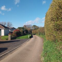 A narrow, winding country road bordered by a tall, trimmed hedge and green grass under a blue sky with scattered clouds; a house and garden are visible on the left side.