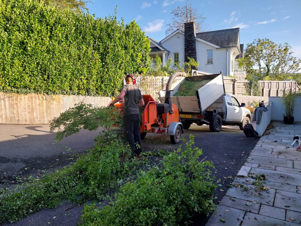 A person feeds branches into an orange wood chipper attached to a white pickup truck in a driveway, with trimmed greenery scattered around. A house, wooden fence, and tall hedge are in the background under a blue sky.