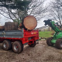 A green loader lifts a large tree log onto a red trailer already filled with logs. A tractor is attached to the trailer, and bare trees and overcast skies are visible in the background.